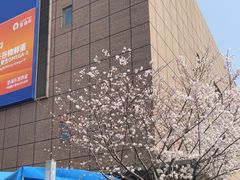 -山姆会员商店(上海浦东店)