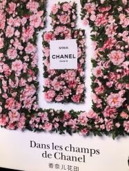 -Chanel