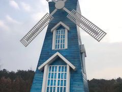 -铁山坪森林公园