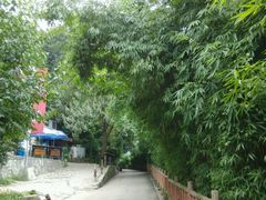 -贵阳市花溪国家城市湿地公园