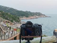 -广东惠东海龟国家级自然保护区