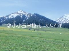 -新疆那拉提国家旅游度假区