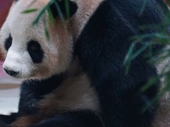 -杭州野生动物世界