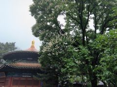 -潭柘寺景区