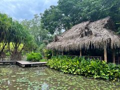 -中国科学院西双版纳热带植物园