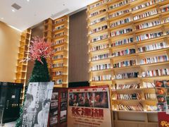 -深影国际影城(学院南路店CGS中国巨幕店)