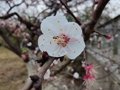 -桂溪生态公园
