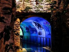 -房山世界地质公园博物馆