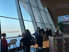 -抱抱地球咖啡馆(国家海洋博物馆店)