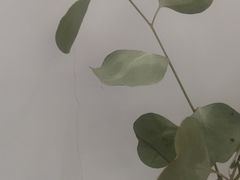 -花沐 FLOWER BATH(凤凰城店)