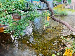 -筱爷叔·上海传统手工菜(新桥店)
