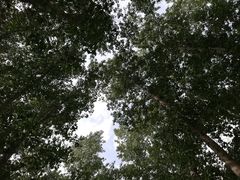 -东郊湿地公园