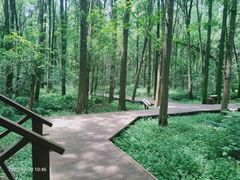 -同里国家湿地公园