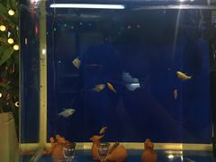 -西单翅酷(西单店)