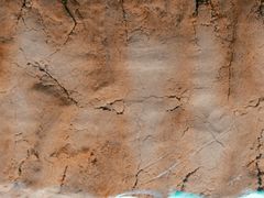 -南大门韩国米糕(公滨路店)