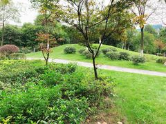 -府河摄影公园
