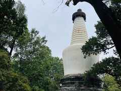 -大觉寺-停车场