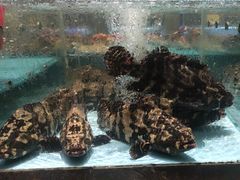 -阿伟海鲜楼·福建菜(延寿店)