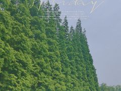 -宜兴龙背山森林公园