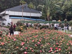 -人民公园(罗湖区)