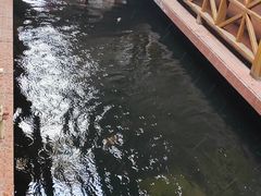 -侠成水上农庄(工业大道店)