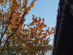 -VOYAGE COFFEE(北锣鼓巷店)