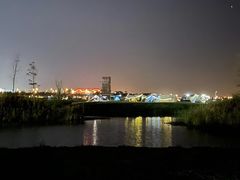 -春花秋色城市公园