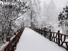 -瓦屋山景区