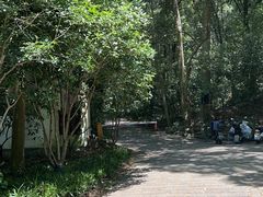 -宋宴(虎跑店)