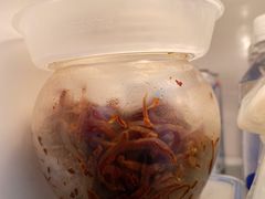 辣咸菜丝-老磁器口豆汁店(马家堡店)