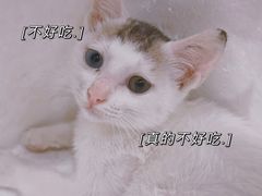 -韩一馆(吉大店)