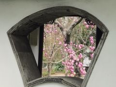 -秋霞圃