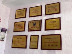 -香薇妮丝·定制减肥·身材管理