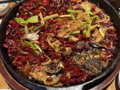 -老板恋上鱼(恒隆广场店)