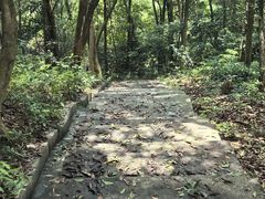 -广州市帽峰山景区
