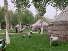 -九十九顶毡房(阜石路店)