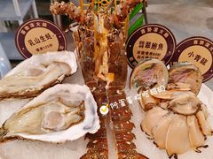 澳洲小青龍-喜聚薈·花膠雞海鮮火鍋(越秀店)