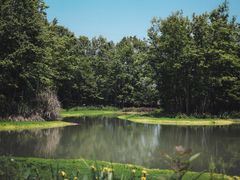 -桤木河湿地公园