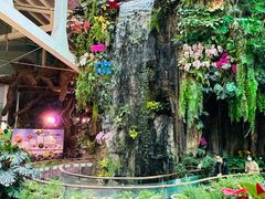 -正佳雨林生态植物园
