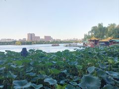 -济南大明湖景区