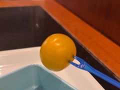 -水木谷养生水汇