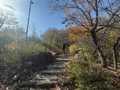 -灵岩山风景区