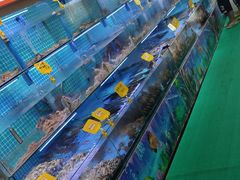 -前王院•巧克力海鲜市集餐厅(万平口店)