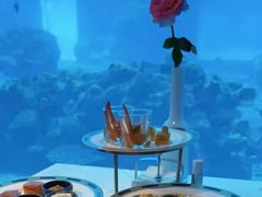-海棠湾洲际-涛·海底餐厅·美人鱼·自助餐·海底隧道