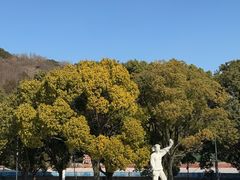 -汤山公园