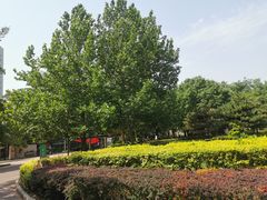 -方庄体育公园