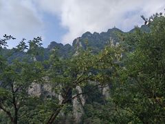 -王顺山国家森林公园