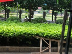 -咕摩柠·手打柠檬茶(金湖店)