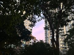 -华侨城湿地公园