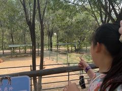 -青藏高原野生动物园